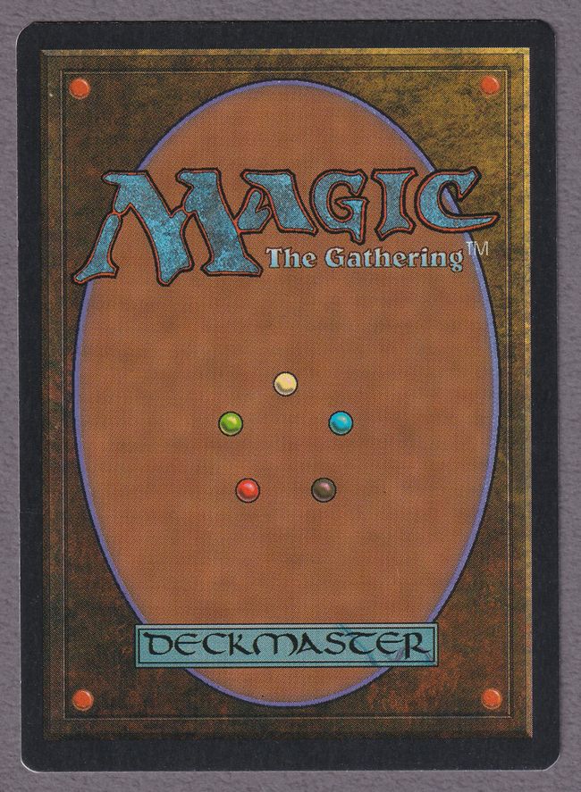 委託商品】《Taiga》[3EDBB] 土地R SP | 日本最大級 MTG通販サイト