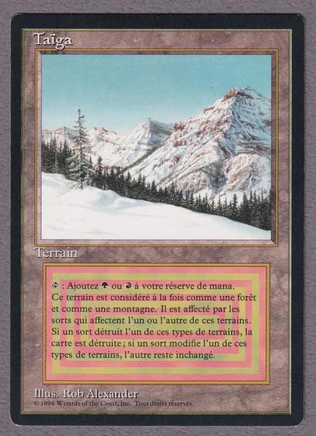 Taiga》[3ED] 土地R | 日本最大級 MTG通販サイト「晴れる屋」