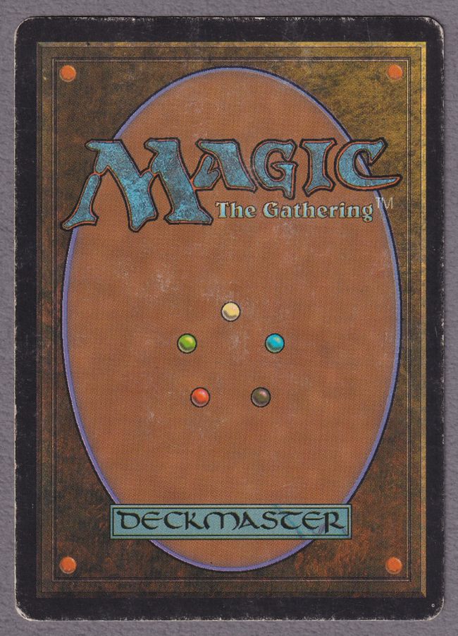 Bayou 3ED 状態HP Bayou》[3ED] HP - MTG専門店 Initiative