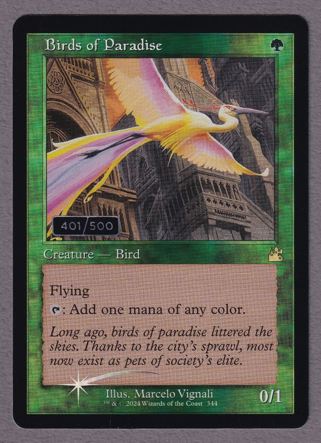 極楽鳥の商品検索 | 日本最大級 MTG通販サイト「晴れる屋」