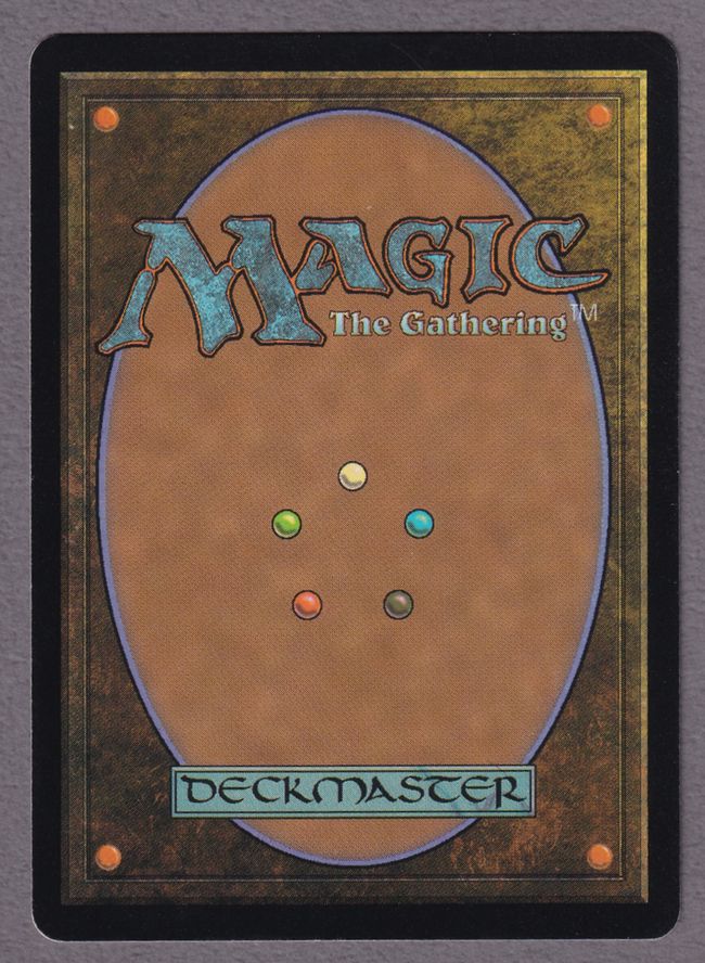 委託商品】《平地/Plains》[Guruランド] 土地 MP | 日本最大級 MTG通販