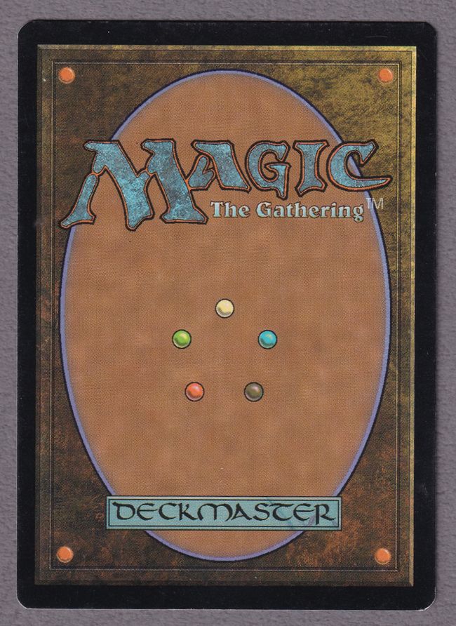委託商品】《島/Island》[Guruランド] 土地 MP | 日本最大級 MTG通販