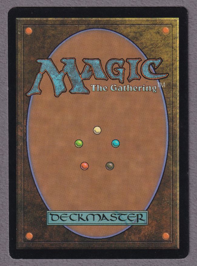 委託商品】《島/Island》[Guruランド] 土地 MP | 日本最大級 MTG通販