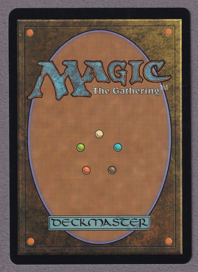 委託商品】《森/Forest》[Guruランド] 土地 SP | 日本最大級 MTG通販