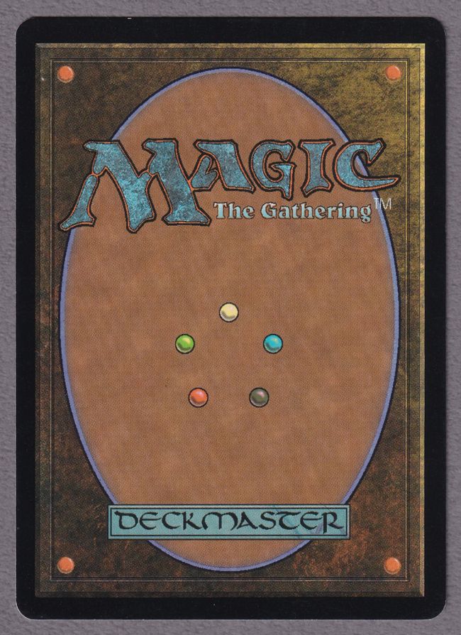 委託商品】《森/Forest》[Guruランド] 土地 SP | 日本最大級 MTG通販