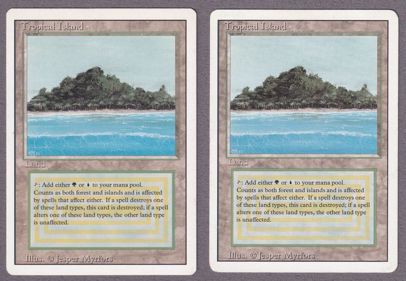 委託商品/2枚セット】《Tropical Island》[3ED] MP x 1 HP x 1 | 日本