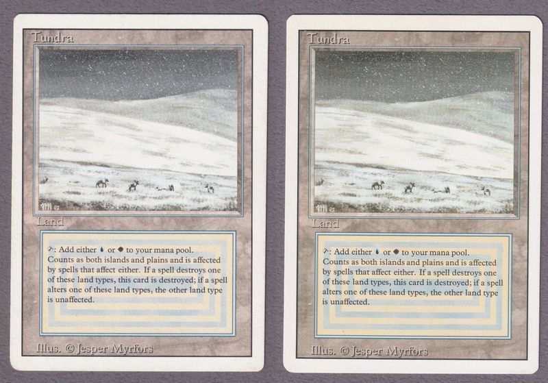 Tundraの商品検索 | 日本最大級 MTG通販サイト「晴れる屋」