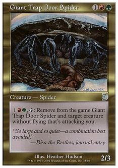 《巨大トタテグモ/Giant Trap Door Spider》[DKM] 金U