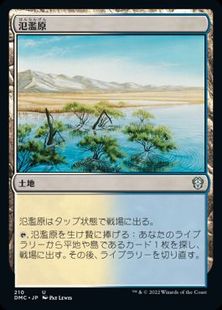 (210)《氾濫原/Flood Plain》[DMC] 土地U
