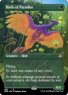 (439)■ボーダーレス■《極楽鳥/Birds of Paradise》[DMR-BF] 緑R