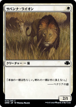 《サバンナ・ライオン/Savannah Lions》[DMR] 白C