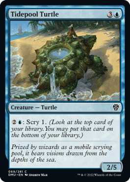 (069)《潮溜まりの亀/Tidepool Turtle》[DMU] 青C