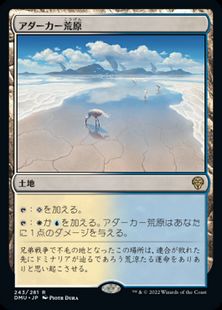 243)《アダーカー荒原/Adarkar Wastes》[DMU] 土地R | 日本最大級 MTG 