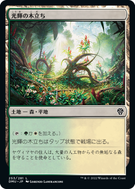 Foil】(253)《光輝の木立ち/Radiant Grove》[DMU] 土地C | 日本最大級