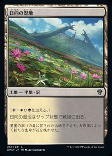 (257)《日向の湿地/Sunlit Marsh》[DMU] 土地C