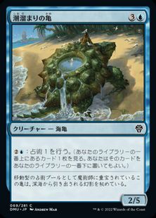(069)《潮溜まりの亀/Tidepool Turtle》[DMU] 青C