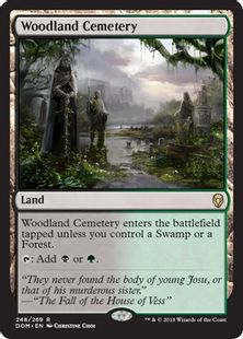 【Foil】《森林の墓地/Woodland Cemetery》[DOM] 土地R