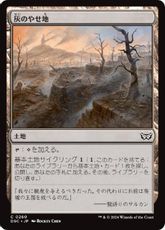 (260)《灰のやせ地/Ash Barrens》[DSC] 土地C