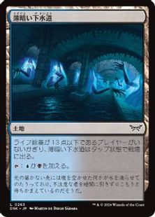 (263)《薄暗い下水道/Murky Sewer》[DSK] 土地C