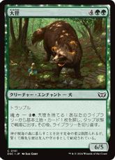 (181)《大狸/Greater Tanuki》[DSC] 緑C