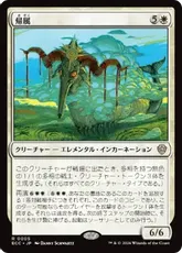 (005)《帰属/Belonging》[ECC] 白R