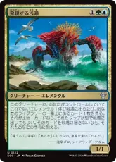 (132)《発現する浅瀬/Risen Reef》[ECC] 金U