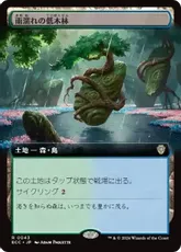 (043)■拡張アート■《雨濡れの低木林/Rain-Slicked Copse》[ECC] 土地R