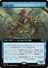 【Foil】(356)■拡張アート■《浅瀬の闘士/Champions of the Shoal》[ECL-BF] 青R