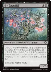 【Foil】(090)《立ち枯れた黒茨/Blighted Blackthorn》[ECL] 黒C