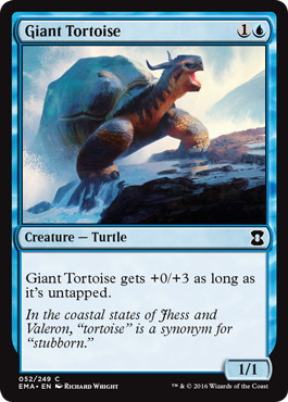《象亀/Giant Tortoise》[EMA] 青C