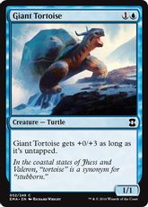 《象亀/Giant Tortoise》[EMA] 青C