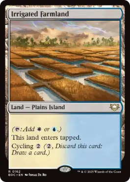 (162)《灌漑農地/Irrigated Farmland》[EOC] 土地R