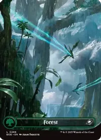 Forest