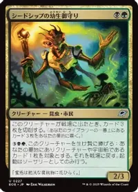 シードシップの幼生御守り