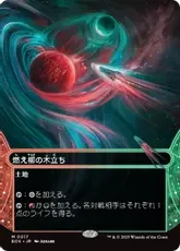 MTG 燃え柳の木立ち ZNE Foil 4枚セット 日)燃え柳の木立ち / Grove of the Burnwillows【ZNE】 【Foil