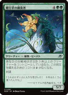 【ご確認用】VOC 捕食者の刻 日本語 1枚 MTG ご確認用】VOC 捕食者の刻 日本語 1枚 MTG フルアート)捕食