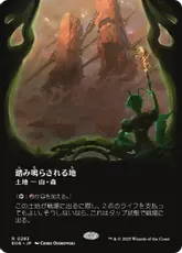 神河 輝ける世界 基本土地 フルアート全66枚セット＋おまけ MTG, マジック:ザ・ギャザリング 通販 | ENNDAL GAMES / 神河