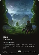 MTG EOE 繁殖池 ボーダーレス ギャラクシーFoil 日本語 繁殖池 ギャラクシーFoil ボーダーレス 日本語 - メルカリ