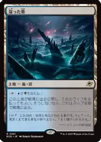 湿った墓