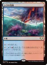 シヴの浅瀬/Shivan Reef APC日本語foil EX]シヴの浅瀬/Shivan Reef《日本語》【APC】