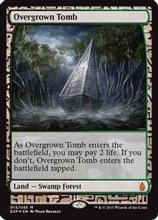 Foil】《草むした墓/Overgrown Tomb》[EXP] 土地R | 日本最大級 MTG 