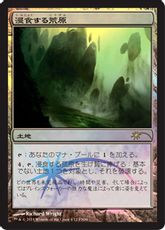 【Foil】《浸食する荒原/Encroaching Wastes》(FNM)[流星マーク] 土地U