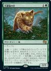 大鎌猫の仔