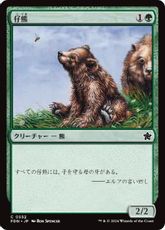 (552)《仔熊/Bear Cub》[FDN] 緑C