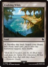 【サージ・Foil】(389)《進化する未開地/Evolving Wilds》[FIC] 土地C