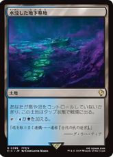 【サージ・Foil】(388)《水没した地下墓地/Drowned Catacomb》[FIC] 土地R