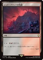 【サージ・Foil】(421)《シャドーブラッドの尾根/Shadowblood Ridge》[FIC] 土地R