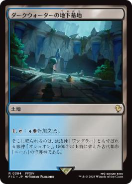 (384)《ダークウォーターの地下墓地/Darkwater Catacombs》[FIC] 土地R