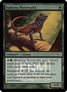 Foil】《日を浴びるルートワラ/Basking Rootwalla》(FNM)[DCIマーク 