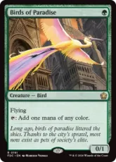 (191)《極楽鳥/Birds of Paradise》[FDC] 緑R